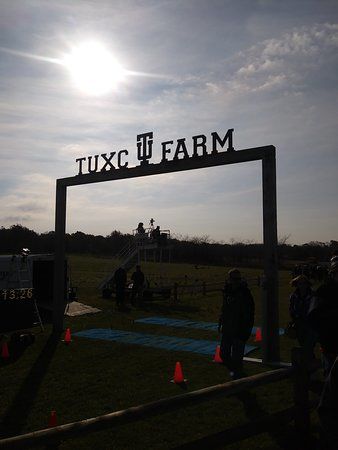 Taylor University
