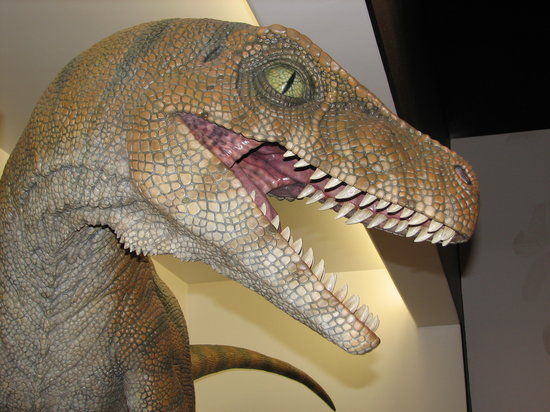 Creation Museum