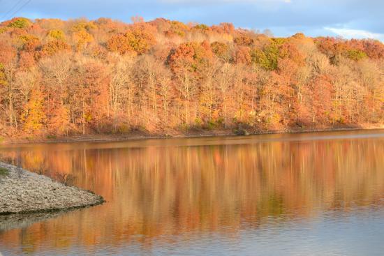 Patoka Lake Newton-Stewart SRA