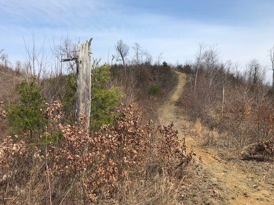 Knobstone Trail