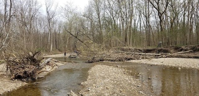 Marott Park