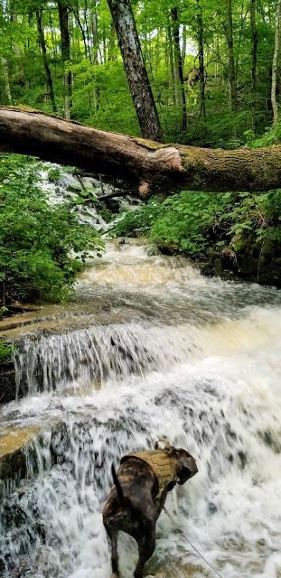 Leonard Springs Nature Park